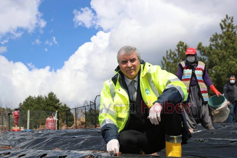Sakarya esnafına yeni destek müjdesi