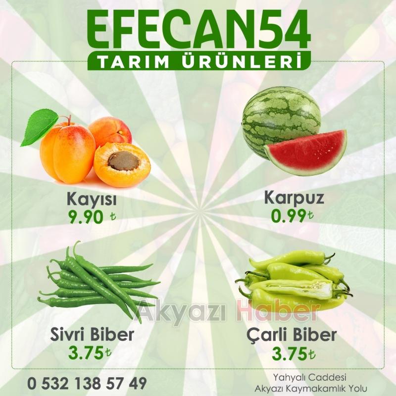 Karpuzun fiyatı 1tl nin altına düştü