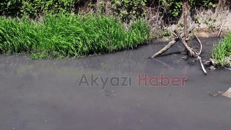 8 mahalleden geçen deredeki kirlilik alarm veriyor