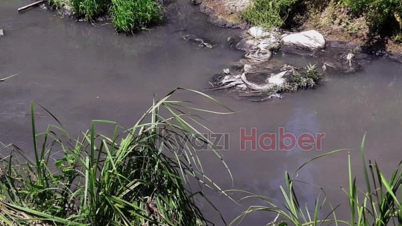 8 mahalleden geçen deredeki kirlilik alarm veriyor