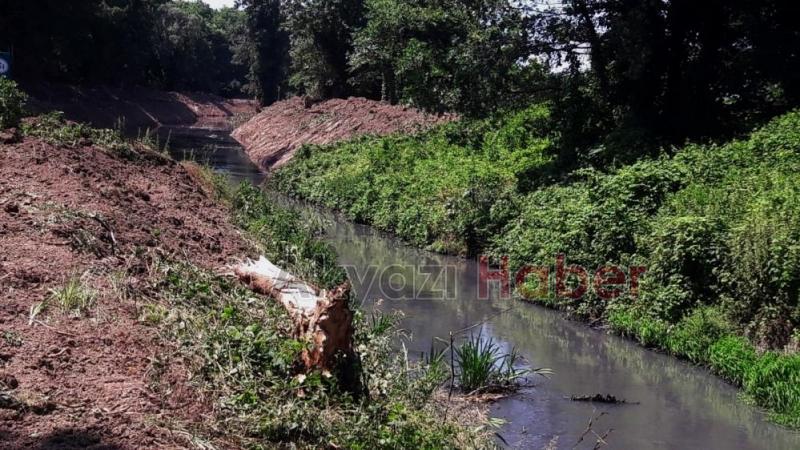 8 mahalleden geçen deredeki kirlilik alarm veriyor