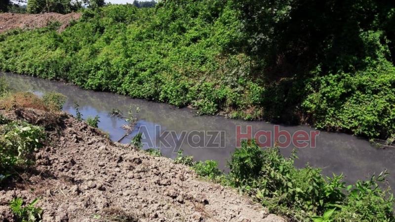 8 mahalleden geçen deredeki kirlilik alarm veriyor