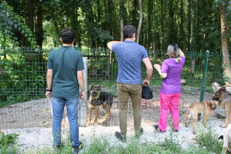 Akyazı'da 21-27 Haziran'da bu çalışmalar yapıldı