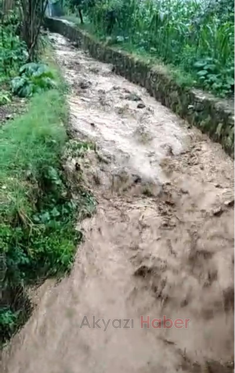 Akyazı'da dereler kabardı