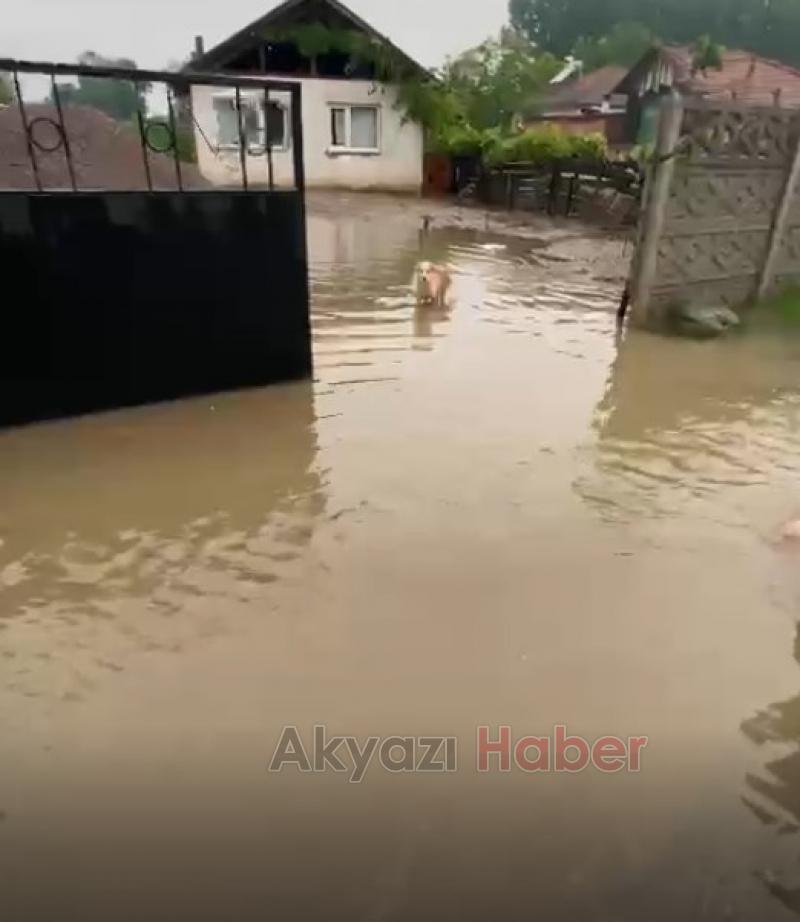 Caddeler suyla doldu, dereler taşma noktasına geldi