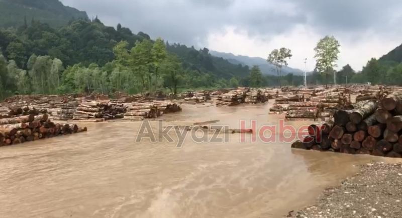 Tomruklar sel sularına kapıldı