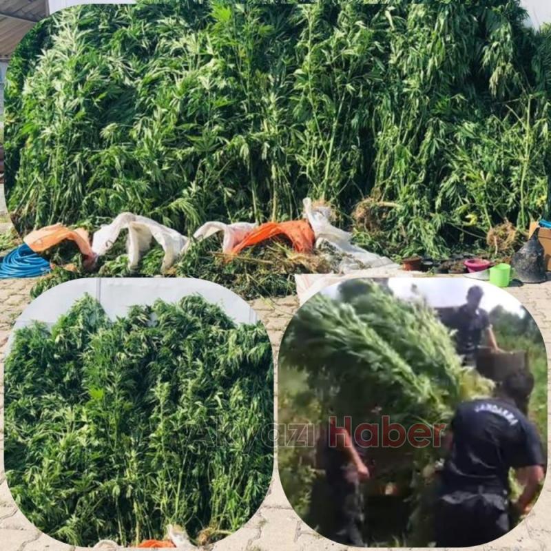 Jandarmadan büyük operasyon