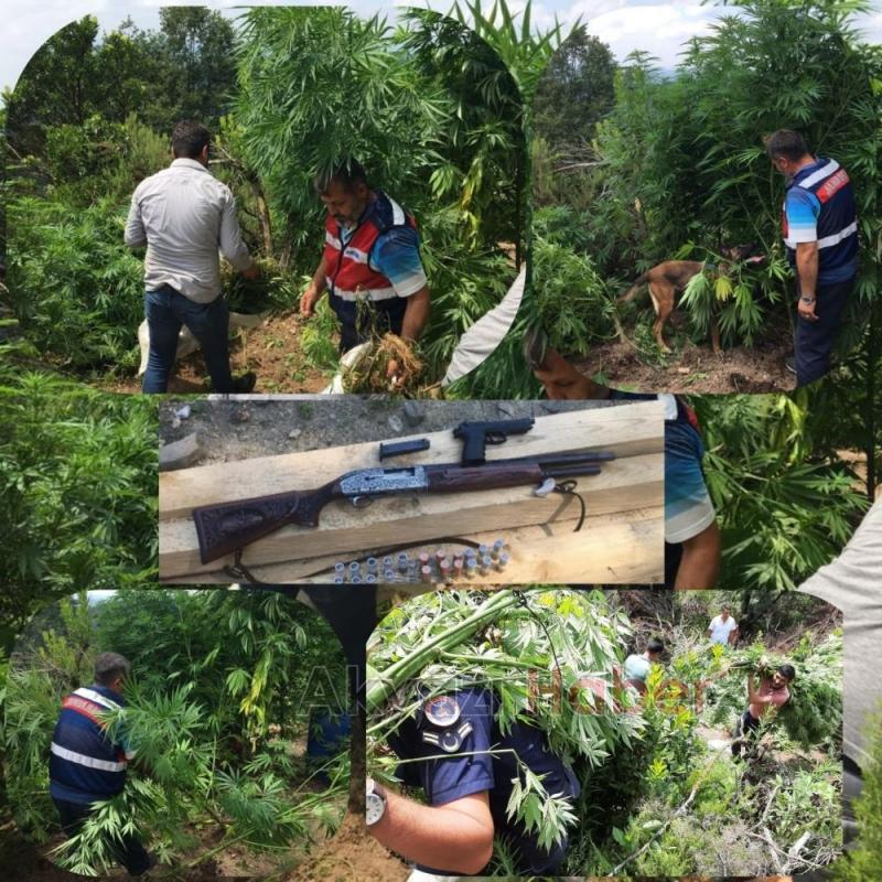 Jandarmadan büyük operasyon