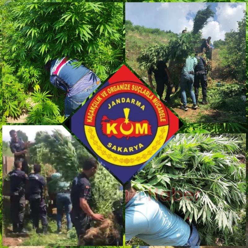 Jandarmadan büyük operasyon