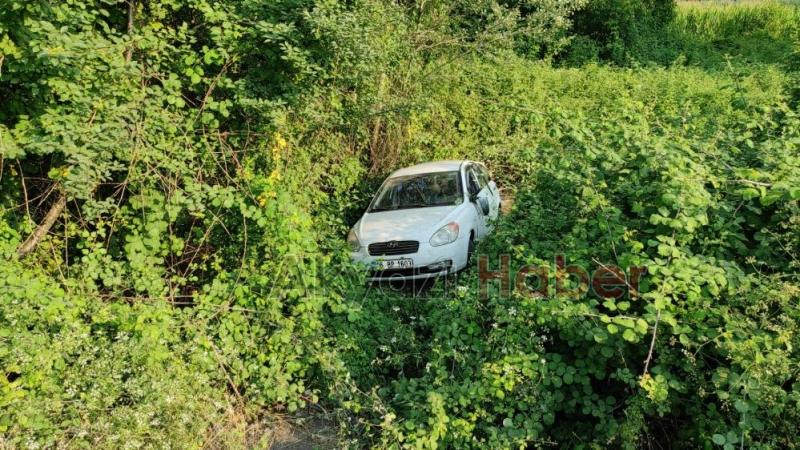 Otomobil ağaçlık alana uçtu: 3 yaralı