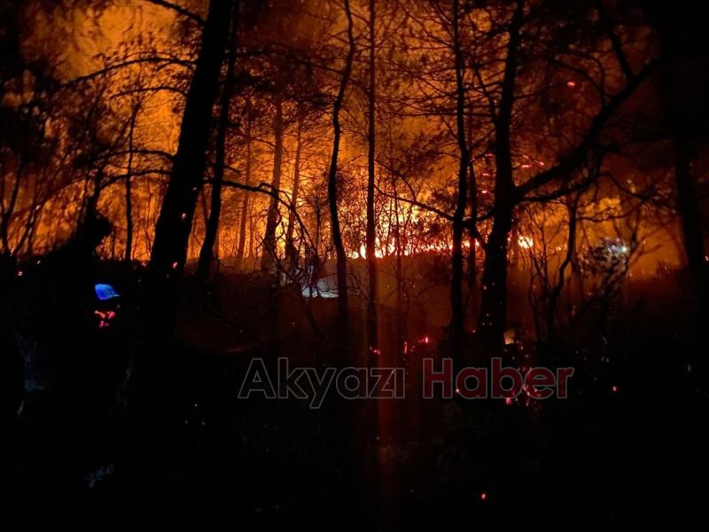 Sakaryalı tatilciler orman yangınına müdahale etti