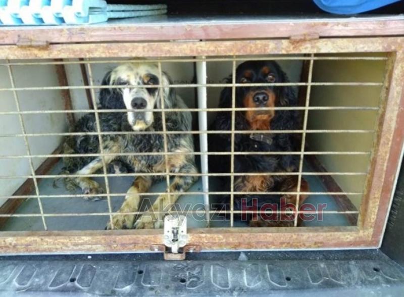 Av sezonu açıldı, Akyazılı avcılar Çankırı'ya gitti