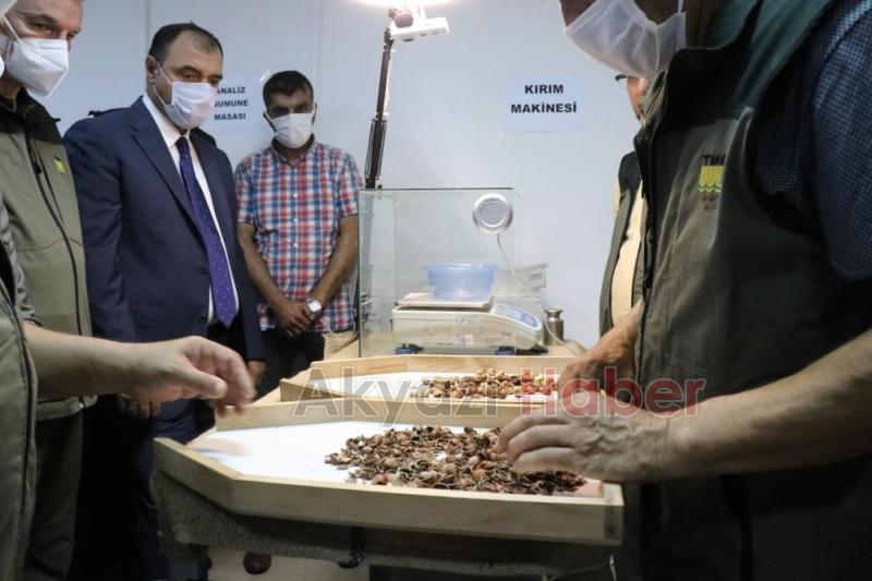 TMO fındık alımına törenle başladı