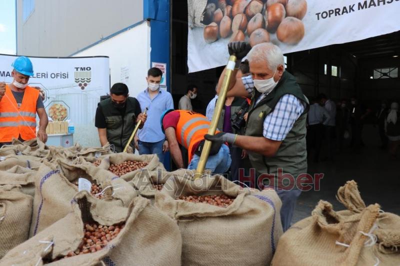 TMO fındık alımına törenle başladı