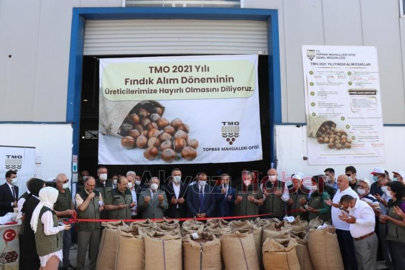 TMO fındık alımına törenle başladı