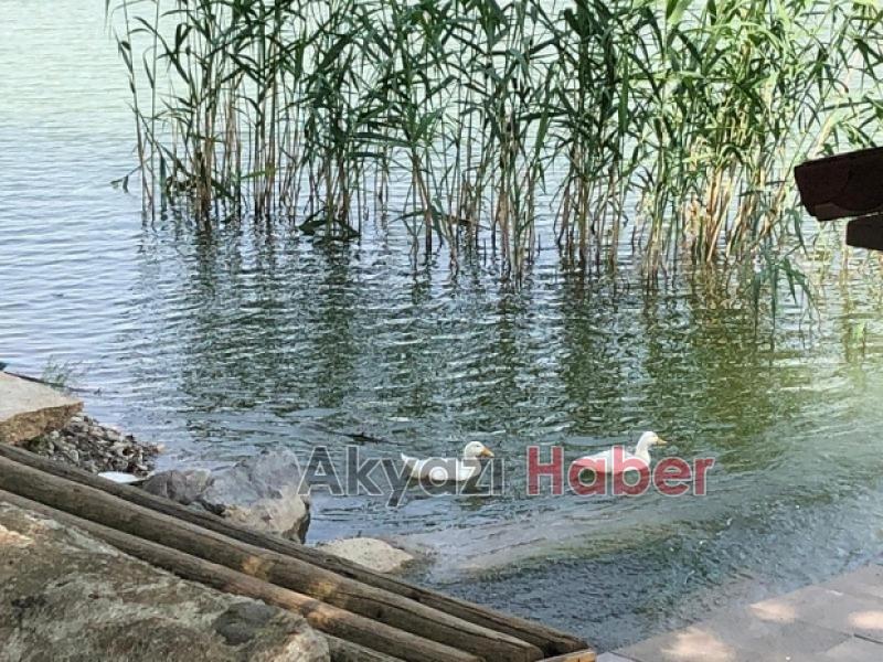 Kuzuluk Gölpark Büyükşehir e devredildi