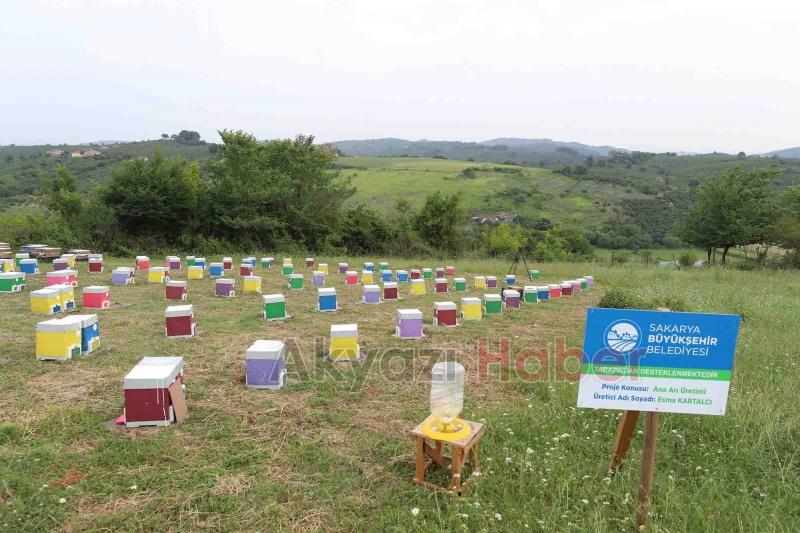Büyükşehirin projesinde 21 ton bal üretildi