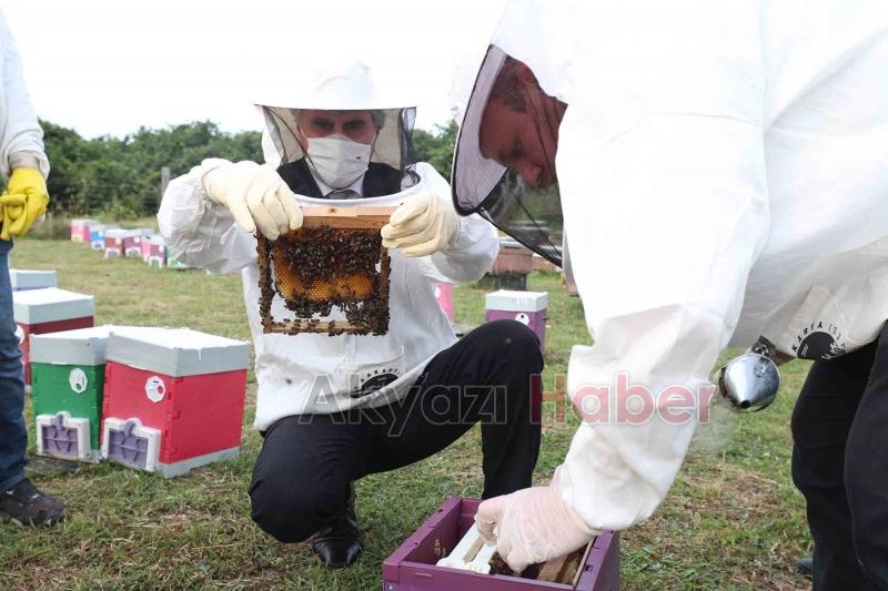 Büyükşehirin projesinde 21 ton bal üretildi