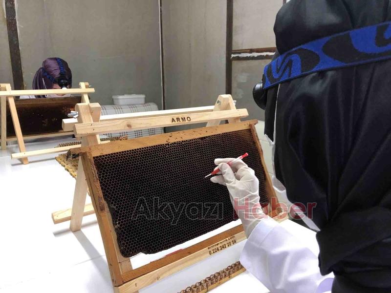 Büyükşehirin projesinde 21 ton bal üretildi