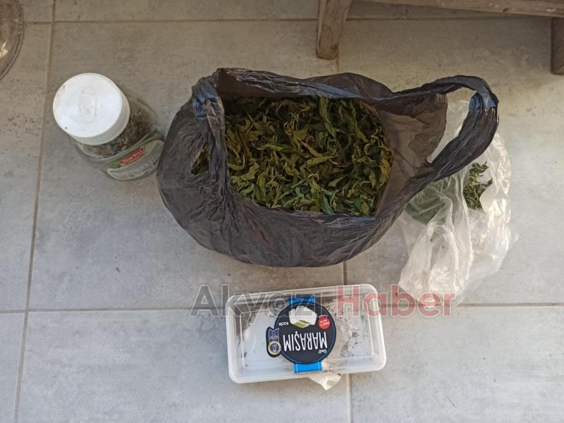 Jandarmadan operasyon: 21 kilo esrar ele geçirildi