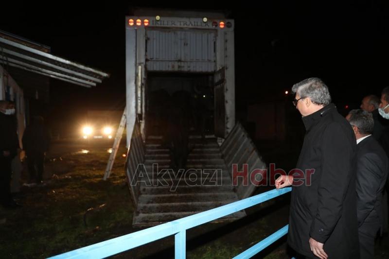 Manda yetiştiriciliği Sakarya’da yeniden hayat bulacak