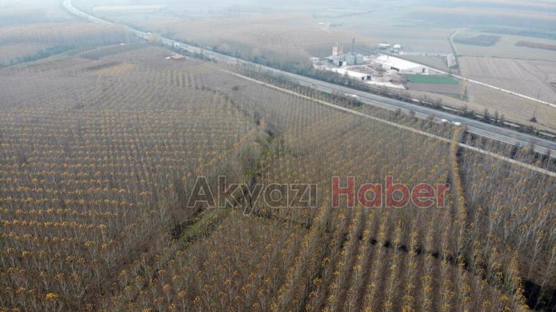 Otoyolda hız kesen manzara