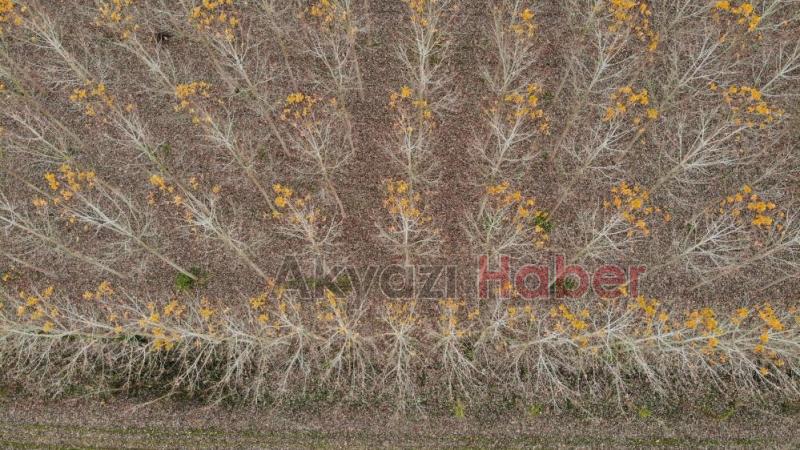 Otoyolda hız kesen manzara