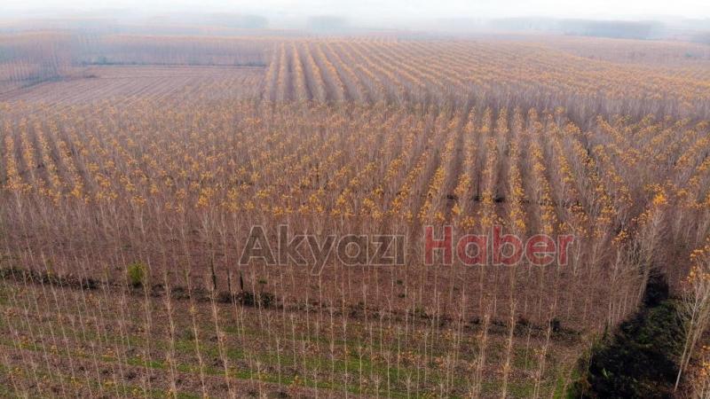 Otoyolda hız kesen manzara