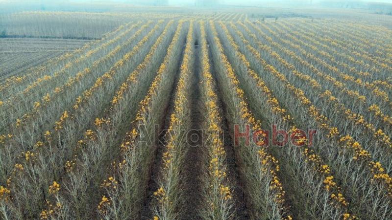 Otoyolda hız kesen manzara