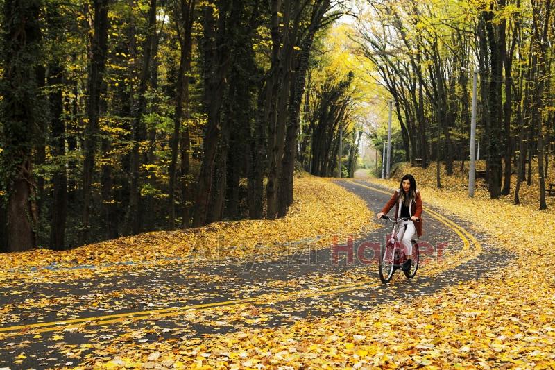 İl Ormanı’nda sonbahar bir başka