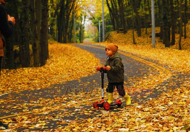 İl Ormanı’nda sonbahar bir başka