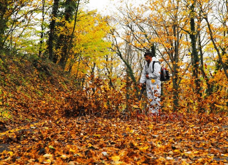 İl Ormanı’nda sonbahar bir başka