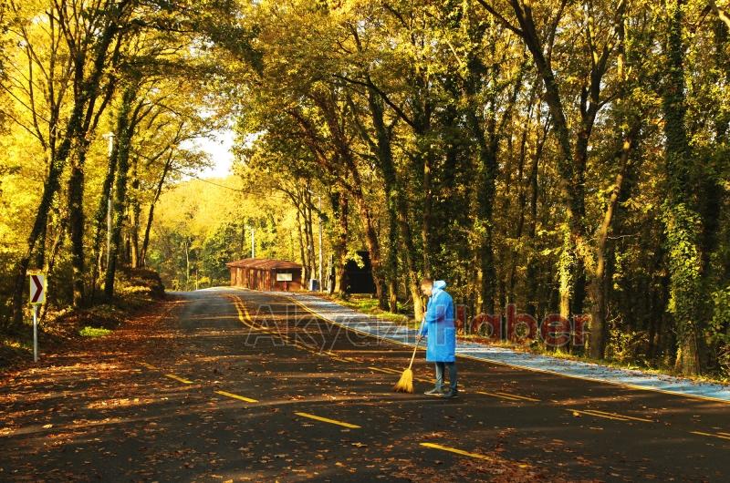 İl Ormanı’nda sonbahar bir başka