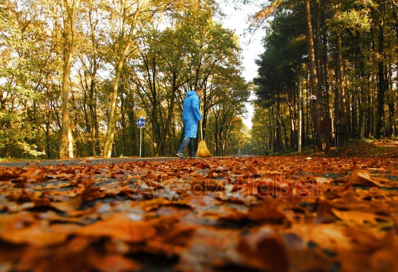 İl Ormanı’nda sonbahar bir başka