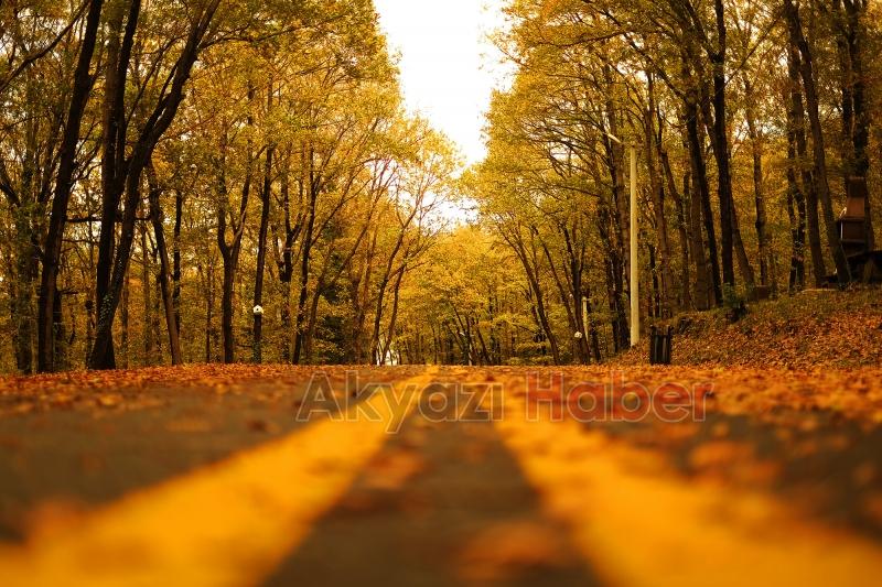 İl Ormanı’nda sonbahar bir başka