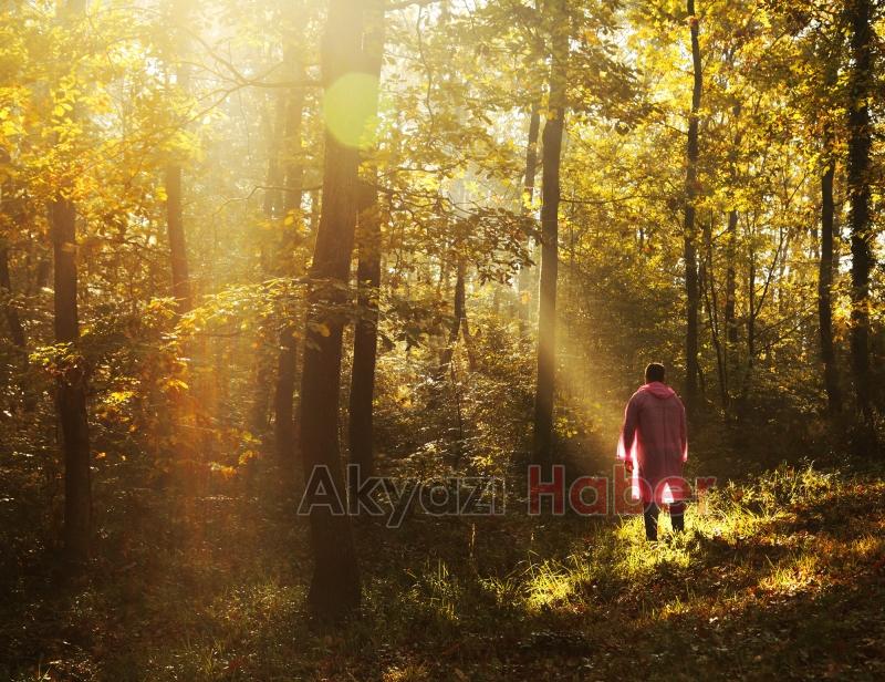 İl Ormanı’nda sonbahar bir başka