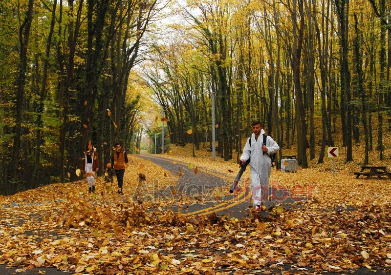 İl Ormanı’nda sonbahar bir başka