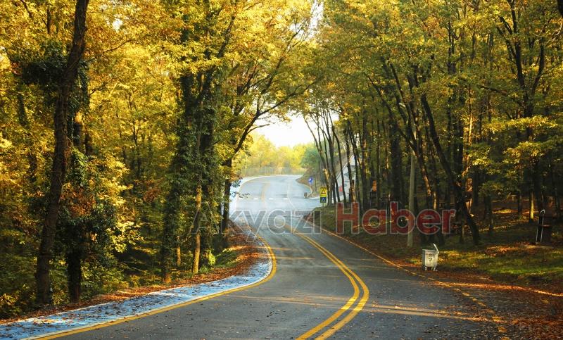 İl Ormanı’nda sonbahar bir başka