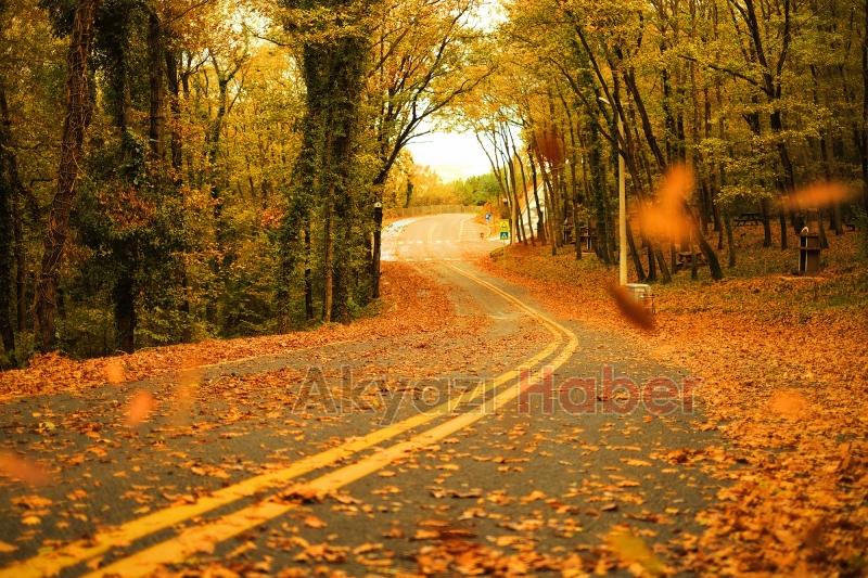 İl Ormanı’nda sonbahar bir başka