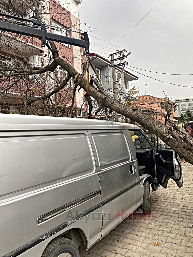 Sakarya'da fırtınanın verdiği hasarın bilançosu
