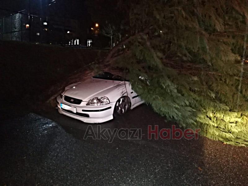 Sakarya'da fırtınanın verdiği hasarın bilançosu