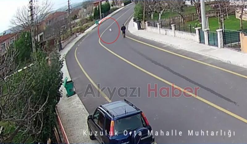 Okul servisi köpeği ezip böyle kaçtı