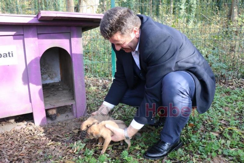 4 ayda 600 sokak hayvanına umut oldular