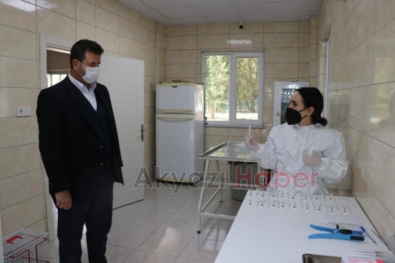 4 ayda 600 sokak hayvanına umut oldular