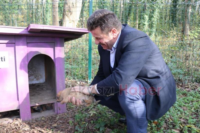 4 ayda 600 sokak hayvanına umut oldular