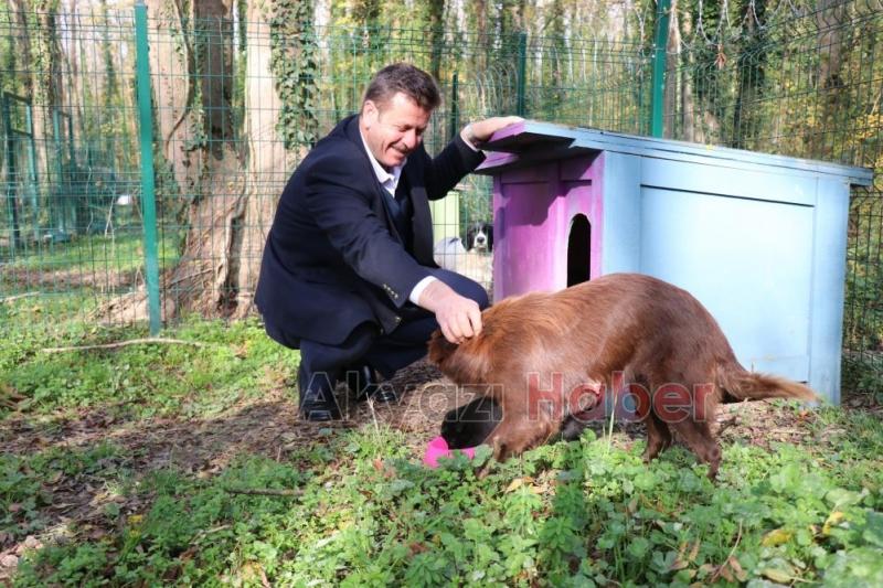 4 ayda 600 sokak hayvanına umut oldular