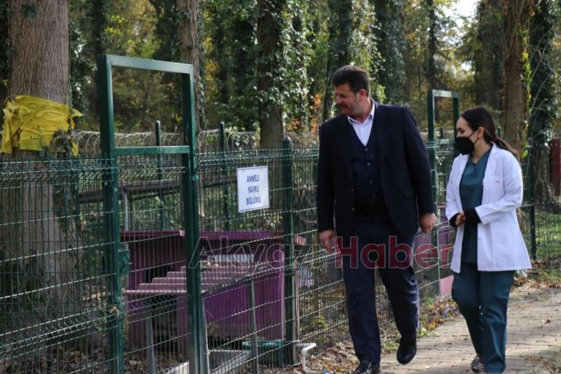 4 ayda 600 sokak hayvanına umut oldular