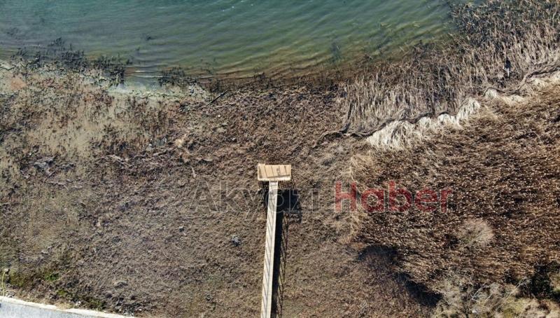 Böyle giderse Sapanca Gölü kuruyacak