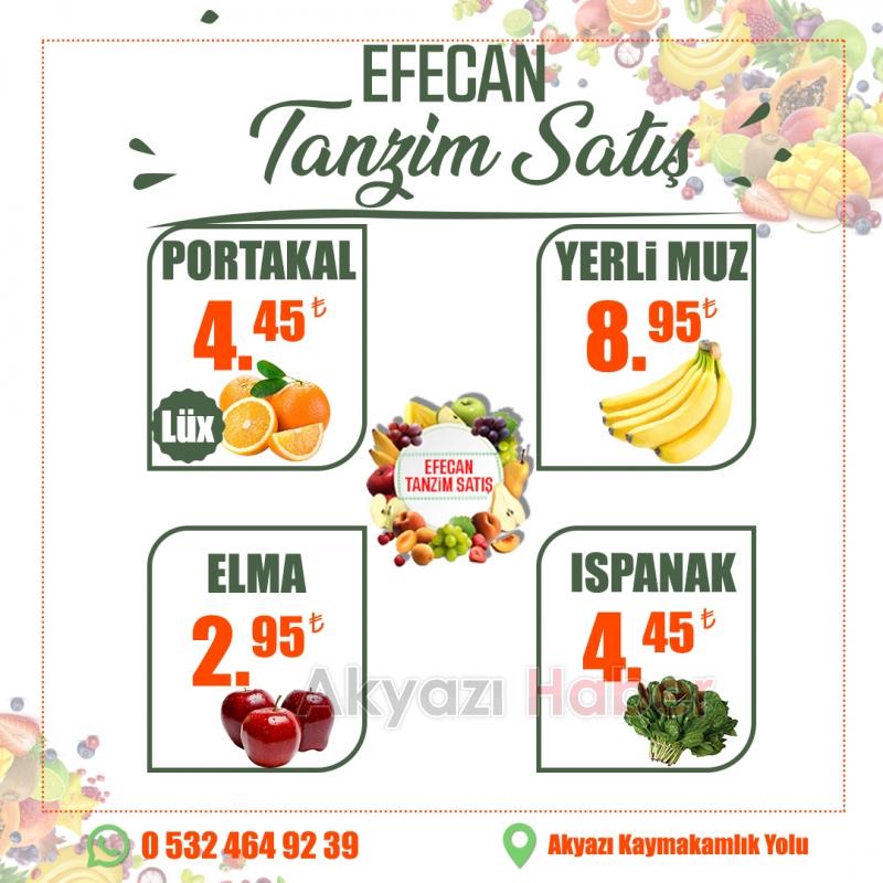 Büyük Yıl Sonu İndirimi Efecan Tanzim Satış'ta