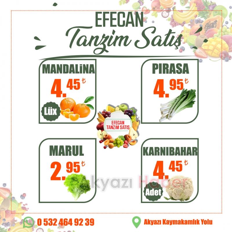 Büyük Yıl Sonu İndirimi Efecan Tanzim Satış'ta